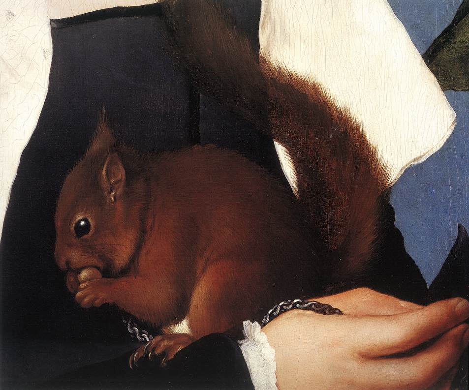 Portrait of a Lady with a Squirrel and a Starling (detail) sf
